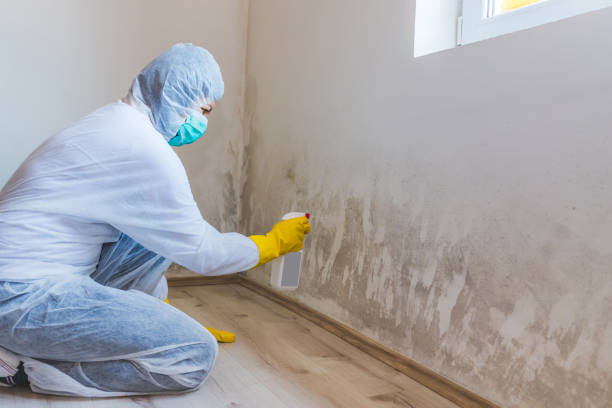 Hvac And Air Duct Mold Remediation inspection of HVAC system in Chandler